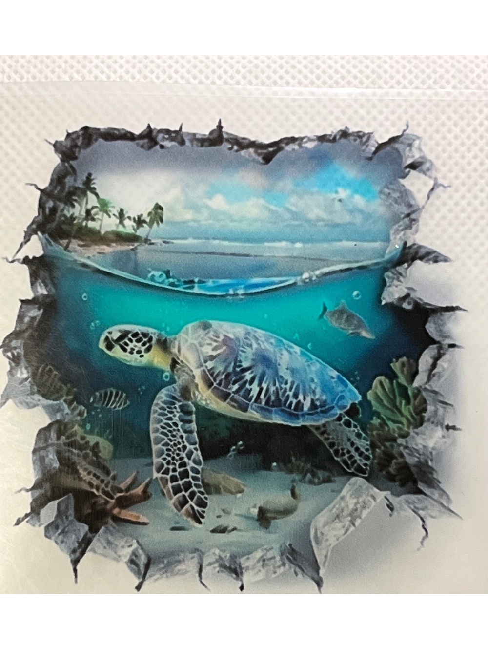 Vibrant Sea Turtle Ocean Wall Decal Sticker